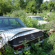 Image for article titled A Michigan Town Is Forcing This Man To Sell 20 Old Cars Off His Property Every Month